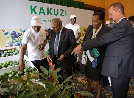 Geopolitical Tensions, Adverse Weather And Forex Fluctuations Affect Kakuzi Trading Results