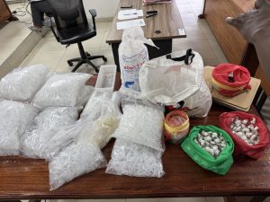 Suspects In Smuggling Of Garden Ants Detained For 7 Days Pending Ruling