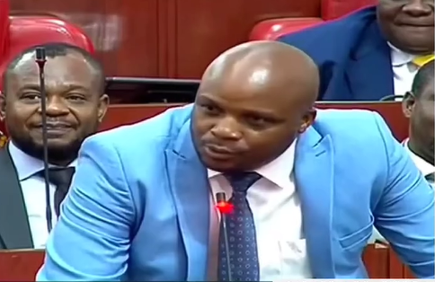 MP Felix Odiwuor 'Jalang’o' Denies Involvement In Petition Against Nairobi’s Green Army Youth Programme