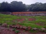 KFS Clarifies Allegations On Ngong Road Forest Eco-Camp Development