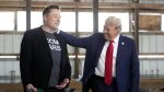 Donald Trump Is Named In Epstein Files, Claims Musk