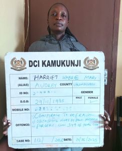 Woman Arrested For Defrauding Chinese National Over Sh13 Million In Fake Aluminium Deal
