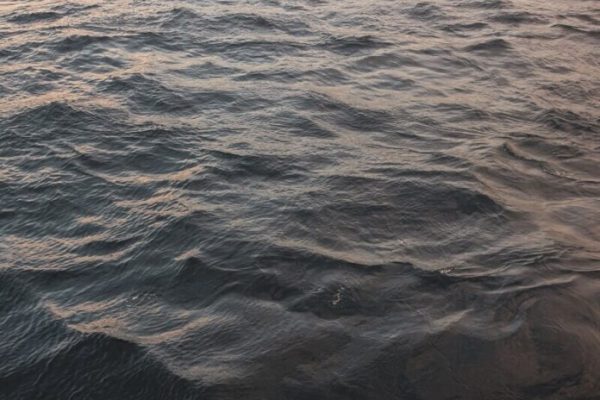 Body Of Missing Man Found In River In Busia