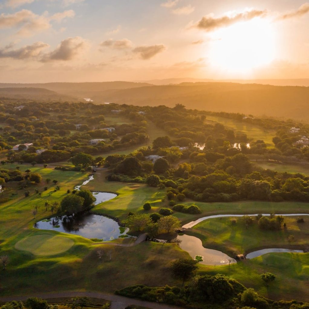 Vipingo Ridge Ltd Shareholders Vote For Alastair Cavenagh’s Removal From The Board Of Directors