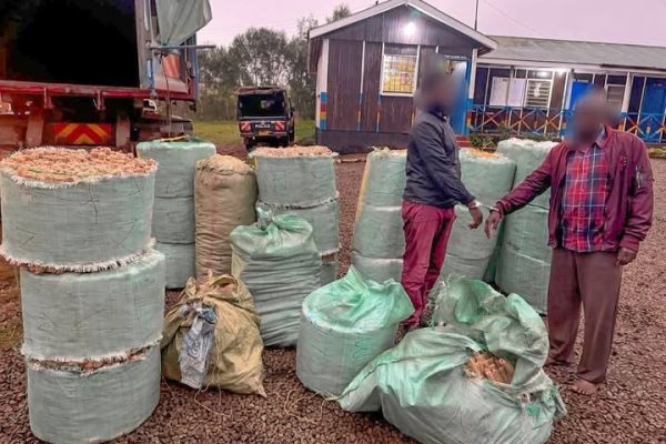 Police Arrest Two Suspects And Seize Narcotics In Turbo; Separate Drug Bust In Samburu