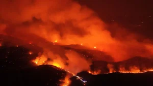 Massive Wildfires Near Bursa, Türkiye Force Thousands To Evacuate