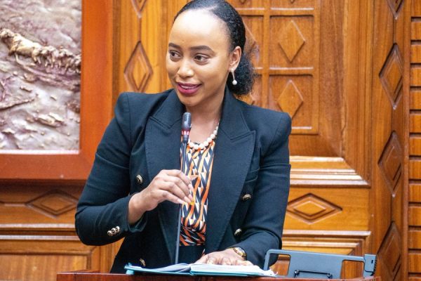 Court Bars Senator Lemaletian’s Estranged Partner From Contacting Or Harassing Her