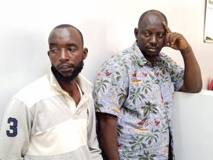 Two Burundians Charged In Mombasa Over Illegal Possession Of Sh12 Million Elephant Tusks