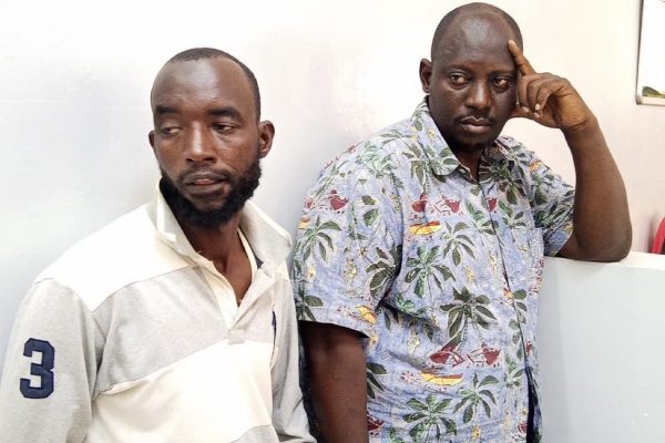 Two Burundians Charged In Mombasa Over Illegal Possession Of Sh12 Million Elephant Tusks