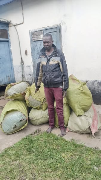 Suspected Drug Trafficker Arrested With Bhang Worth Sh.7 Million In Bomet