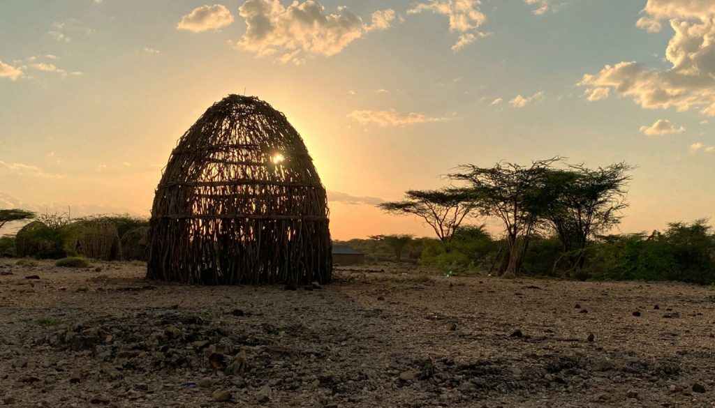 Scientists uncover key genetic adaptations to desert survival in partnership with Turkana pastoralists