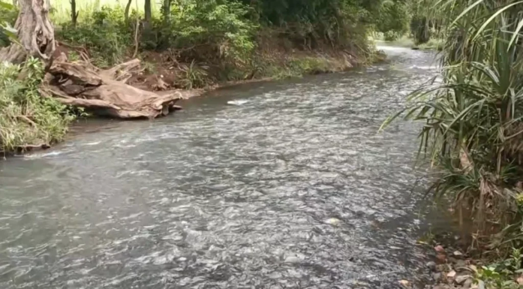 Ten-Year-Old Boy Drowns In Seasonal River While On Swimming Expedition In Ikutha, Kitui County