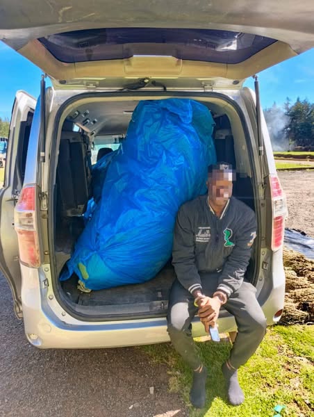 Police seize cannabis worth Sh 2 million, arrest suspect in Timboroa Highway operation