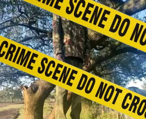 Cop found dead on tree after suspected suicide in Rongai, Nakuru County