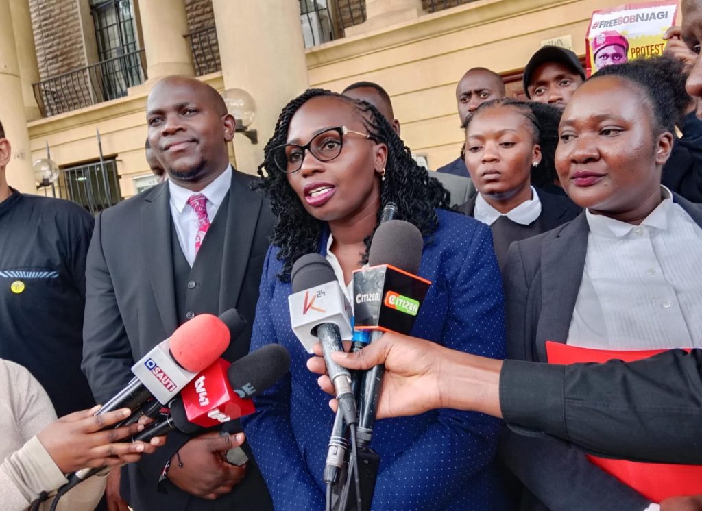 Faith Odhiambo resigns from panel on compensation of victims of demonstrations, citing commitment to rule of law and urgent reform