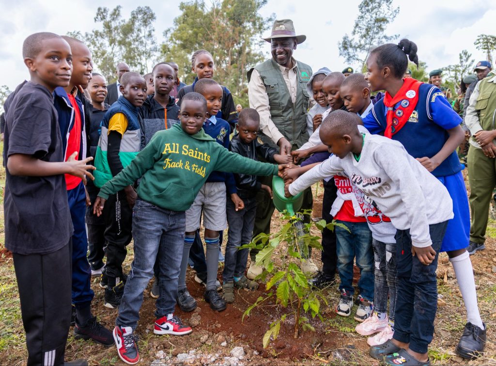 Ruto unveils plan for 17 mega nurseries to produce 2 billion tree seedlings annually