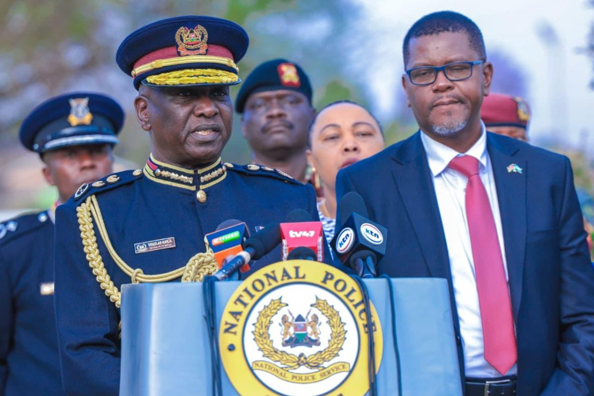 Kanja says they are waiting for directions from UN after Security Council vote on Haiti