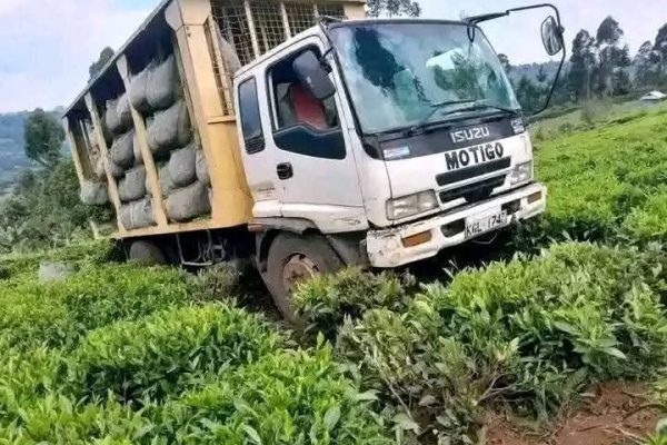 Low tea bonus payments is a recipe for chaos, warns Kisii Senator Essy Okenyuri