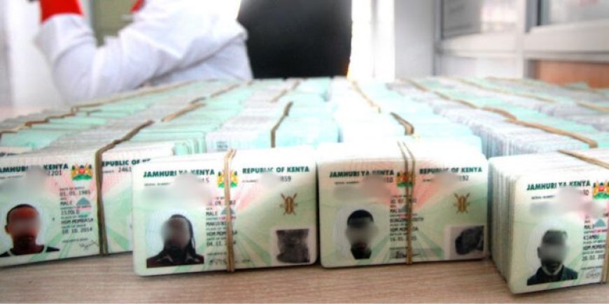 Government waives ID requirement and change of particulars fees for six months