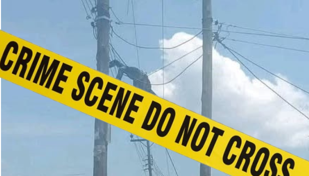 Man, 37 electrocuted in failed power connection in Mbooni, Makueni County