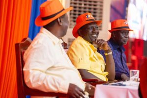 Political parties have much to learn from ODM, Ruto says