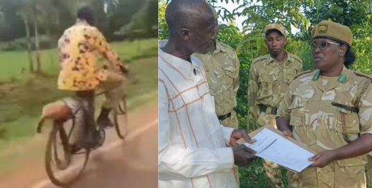 Man who killed Python after dog attack to receive Government compensation
