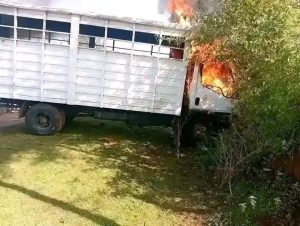 Dram as 3 suspects are lynched, nine cows recovered in Bureti, Kericho County