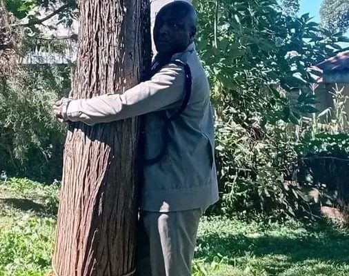 Belgut OCS Kennedy Wanjala hospitalised after tree-hugging protest over crime claims in Kericho County