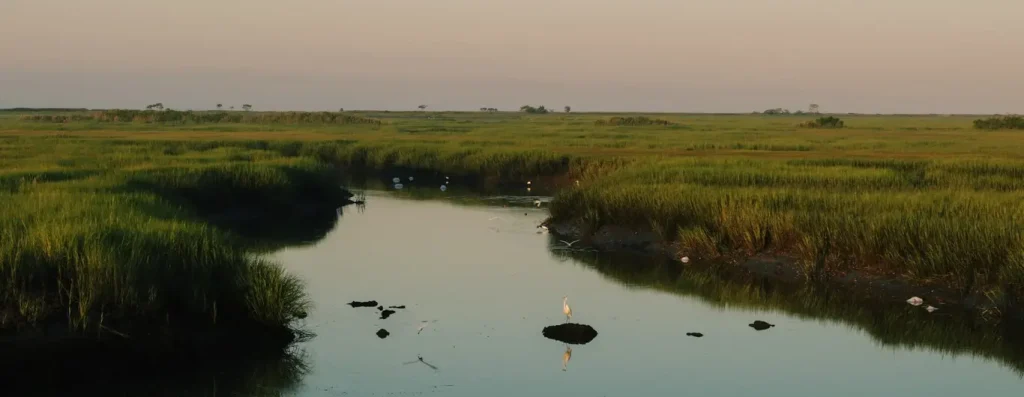 Police probe drowning of 20-year-old herdsman in River Yala, Siaya County
