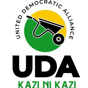 United Democratic Alliance (UDA) sweeps all three by-elections in Mbeere North, Embu and Kabras Ward