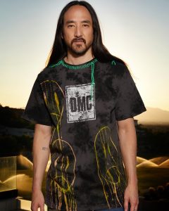 Steve Aoki net worth