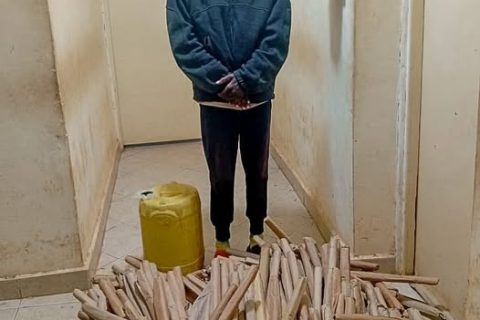 22-Year-old arrested in Oyugis as police recover bhang and illicit brew