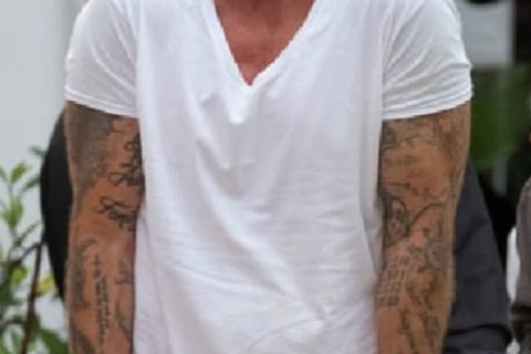 Dominic Purcell net worth