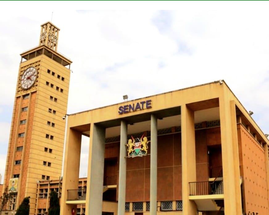Senate commends City Hall’s Nairobi water for improved audit rating, record Sh12.6 billion revenue
