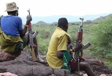 Two shot and killed in banditry attacks in Meru and Isiolo Counties