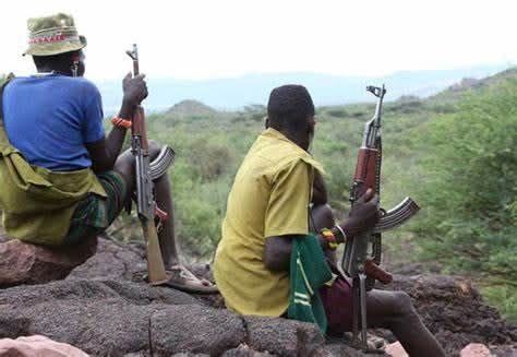 Two shot and killed in banditry attacks in Meru and Isiolo Counties
