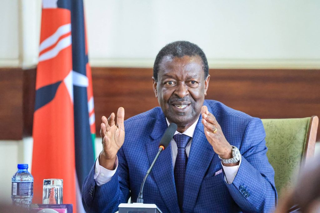 Mudavadi faults UN report over Haiti Mission allegations
