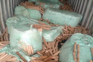 DCI arrests suspected drug trafficker after fatal accident, recovers sh34M worth of bhang in Migori