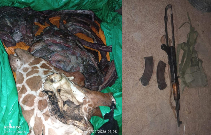 KWS personnel recover giraffe meat, AK47 rifle in ambush on poachers in Garissa