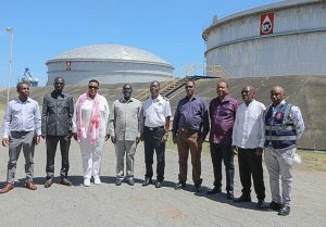 Senate Widens Probe Into Fuel Import Scandal, Targets Top Officials and Regulators