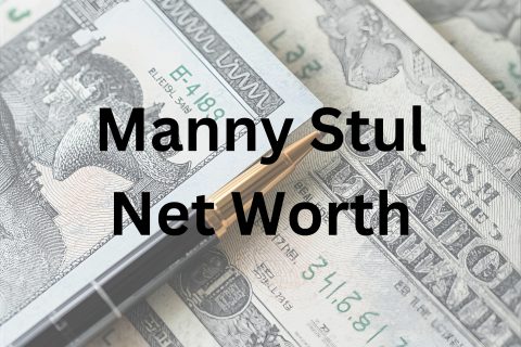 Manny Stul net worth