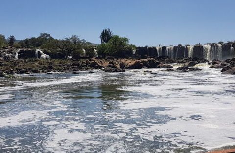 Two feared dead after crocodile attack at Athi River in Makueni