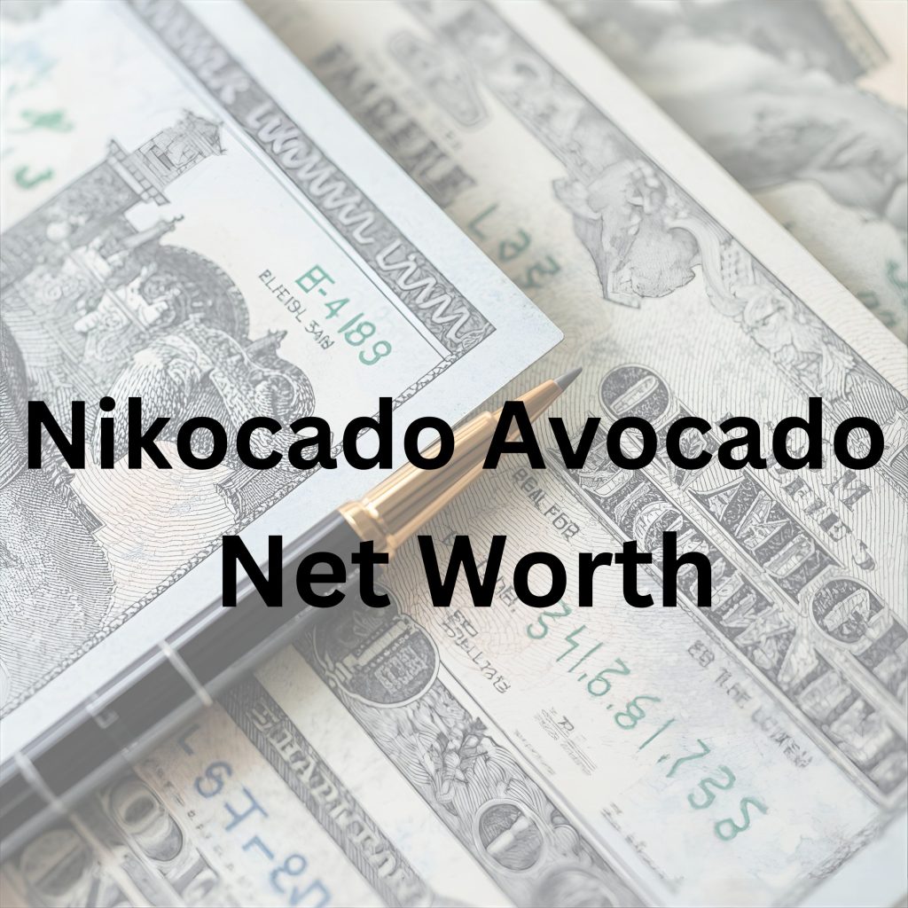 Nikocado Avocado net worth