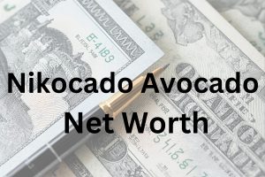 Nikocado Avocado net worth