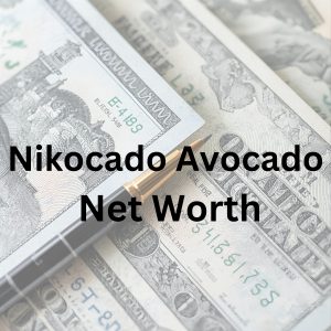 Nikocado Avocado net worth