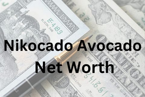 Nikocado Avocado net worth