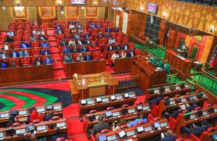 Parliamentary committee backs tech to monitor police conduct during protests