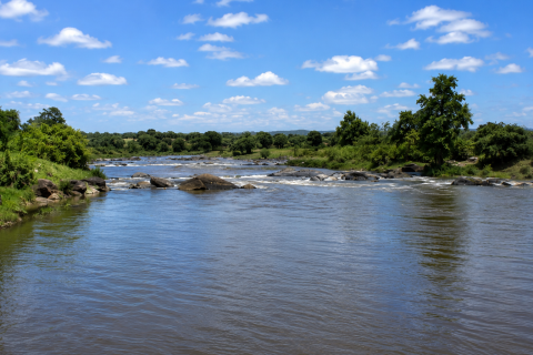 Tragedy as 14-year-old boy drowns in River Yala while on swimming expedition