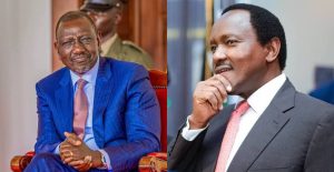 William Ruto Leads 2027 Race as Kalonzo Emerges Surprise Challenger in New Poll