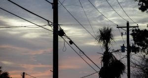 Worker, 57 electrocuted while pruning trees in Bungoma